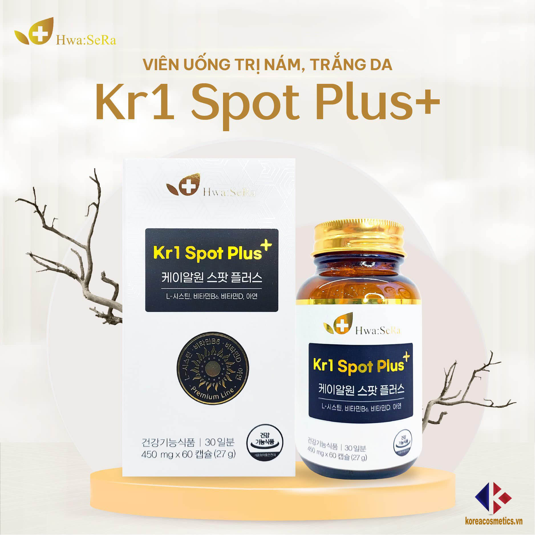 Kr1 Spot Plus+ Hwa Sera