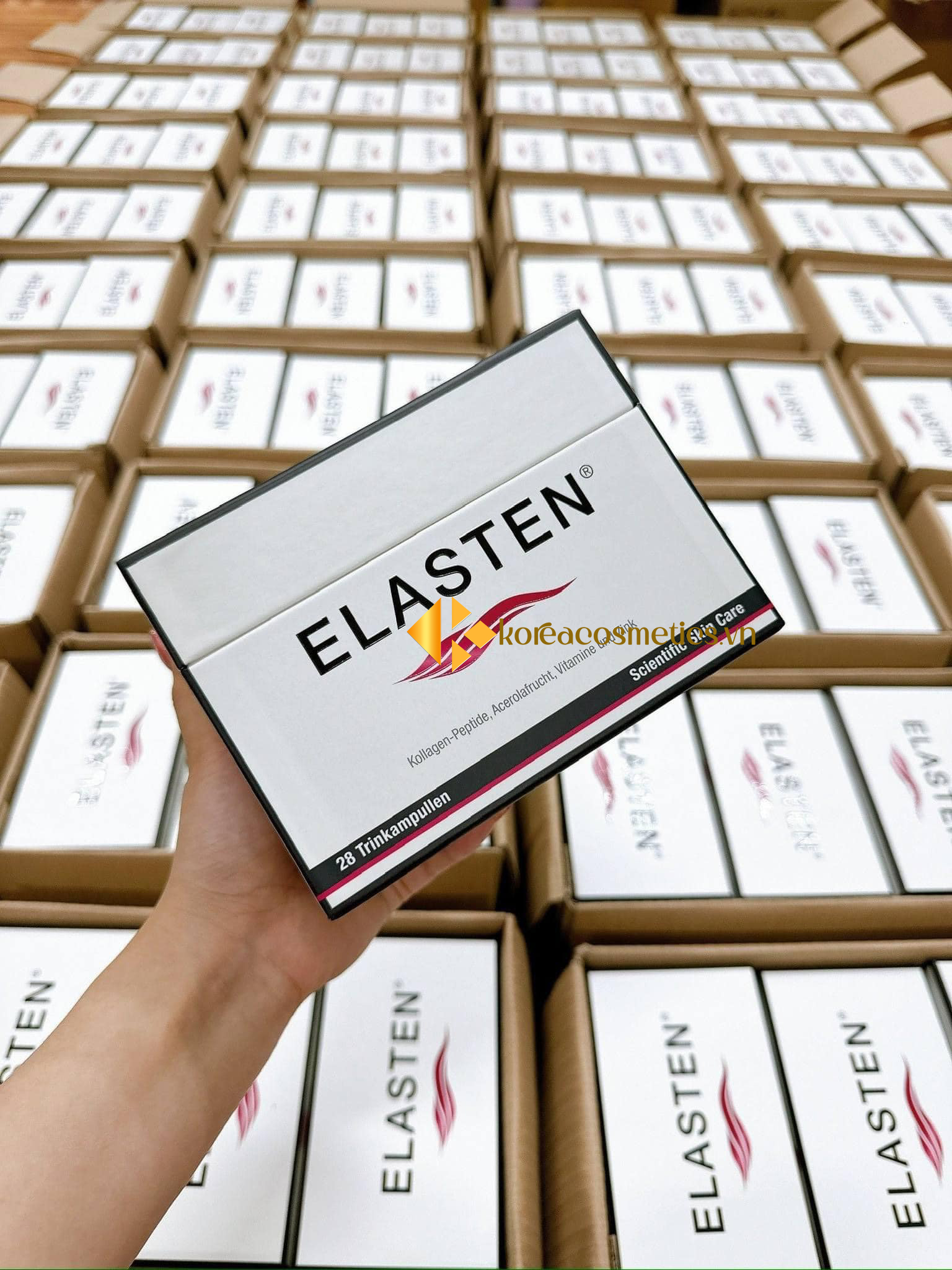 collagen elasten