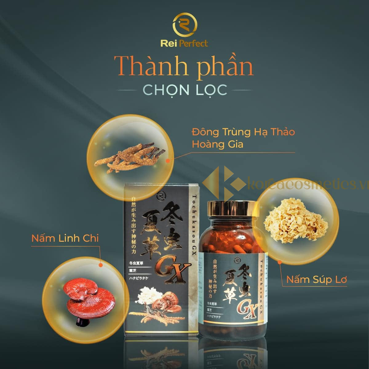 đông trùng hạ thảo Tochukasou GX